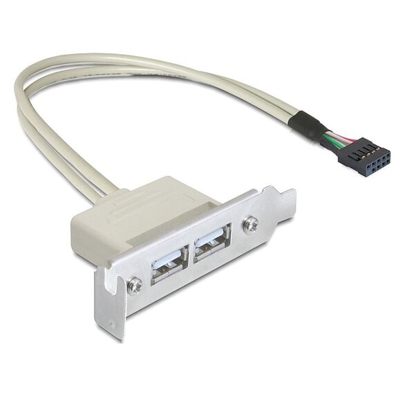 Delock Slot bracket USB 2.0 low profile 2 port