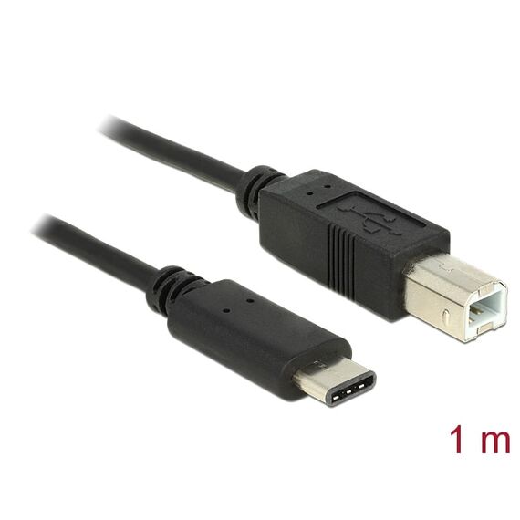 Delock Cable USB Type-C 2.0 male to USB2.0