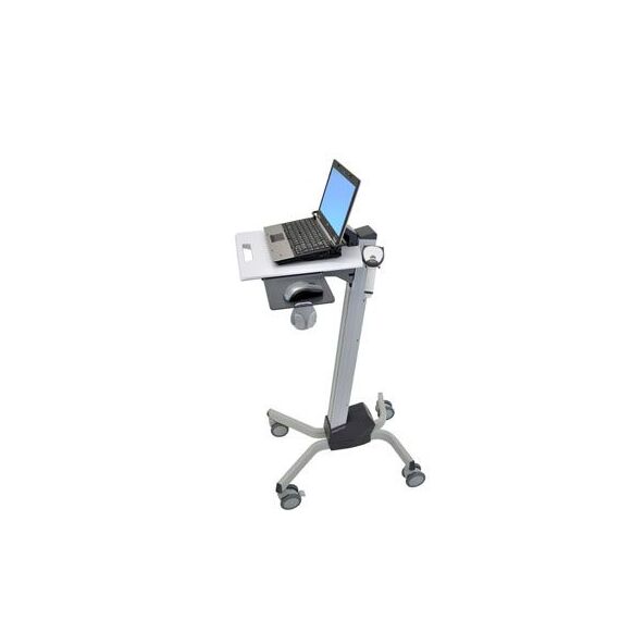 Ergotron M480980