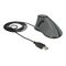 DeLOCK Mouse ergonomic right-handed optical 5 12527