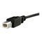 StarTech.com 90cm  Panel Mount USB Cable B FM USBPNLBFBM3