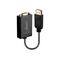 Lindy DisplayPort to VGA Adapter External video adapter 41006