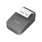 Epson TM P20II (111) - Receipt printer - thermal lin | C31CJ99111