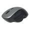 Gembird MUSW-6B-02-BG - Mouse - ergonomic - optical - 6 buttons -
