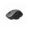 Gembird MUSW-6B-02-BG - Mouse - ergonomic - optical - 6 buttons -