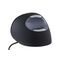 Bakker Elkhuizen Evoluent D Large - Vertical mouse - e | BNEEVRDL