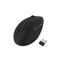 Kensington Pro Fit Ergo Wireless Mouse - Vertical mous | K79810WW