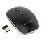 Gembird MUSW-4B-01 - Mouse - optical - 4 buttons - wireless - 2.4
