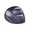 Bakker Elkhuizen Evoluent D Large - Vertical mouse -  | BNEEVRDLW