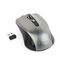 Gembird MUSW-4B-04-BG - Mouse - optical - 4 buttons - wireless -