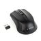 Gembird MUSW-4B-04 - Mouse - optical - 4 buttons - wireless - 2.4