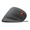 Trust GXT 144 Rexx - Vertical mouse - ergonomic - right-h | 22991