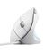 Trust Verto / Right-hand / Optical / USB Type-A / 1600 DP | 25133