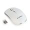 Gembird MUSW-4B-01-W - Mouse - optical - 4 buttons - wireless - 2