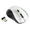 Gembird MUSW-4B-02-BS - Mouse - optical - 4 buttons - wireless -
