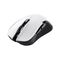 Trust GXT 923W Ybar - Mouse - gaming - right-handed - 6 b | 24889