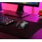 Trust GXT 926 REDEX II - Mouse - ultra-low latency, adjus | 25126
