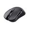 Trust GXT 923 Ybar - Mouse - gaming - right-handed - 6 bu | 24888