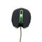 Gembird MUSG-001-G - Mouse - right and left-handed - optical - 6