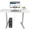 StarTech.com 9.8ft (3m) DisplayPort to HDM | 10F-DP-HDMI-4K60-HDR