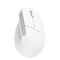 Trust Bayo+, Right-hand, Vertical design, Optical, RF Wir | 25399