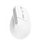 Trust Bayo II, Right-hand, Vertical design, Optical, RF W | 25398