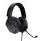 Trust Multiplatform headset GXT492 CARUS HEADSET Black 25447