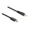 Delock - Power cable - 24 pin USB-C (M) to DC jack 5.5 x  | 87978