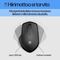 HP Silent 280M - Mouse - wireless - USB wireless re | 19U64AA#ABB