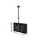 Equip Pro / Bracket / for 2 flat panels / steel / black  | 650370