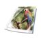DURABLE PREMIUM Sheet protector for A4 (210 x 297 mm) 265503