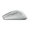 CHERRY STREAM MOUSE COMFORT Mouse ergonomic JW85500