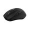 Trust Nito Silent / Mouse / right-handed / 5 buttons / wi | 25549
