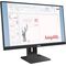 Lenovo ThinkVision E24-40 23.8" IPS Full HD 100Hz