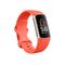 Fitbit Charge 6 Fitness Tracker GPS Heart Rate | GA05184-EU