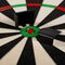 Precise 180 Endorphine Sisal Dartboard with Number Ring