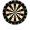 Precise 180 Endorphine Sisal Dartboard with Number Ring