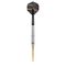 Precise 180 Ricardo Pietreczko 21g Steel Darts 90% Tungsten